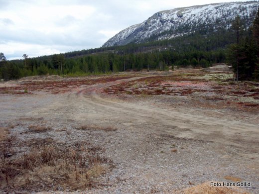 Her på feltbanen er det fint å langtidsparkere som et utgangspunkt for å oppleve Nord-Østerdal