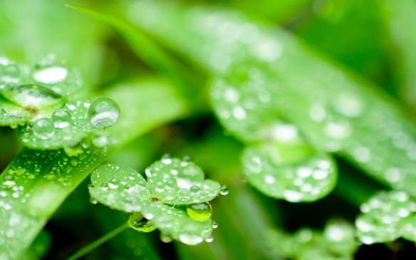 Endelig har det kommet  regn så vi kan benytte banen.